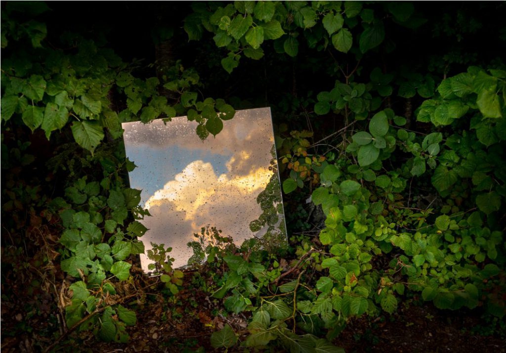 Andrea Tirindelli, Oltre il visibile della natura, stampa fotografica, 72x102 cm