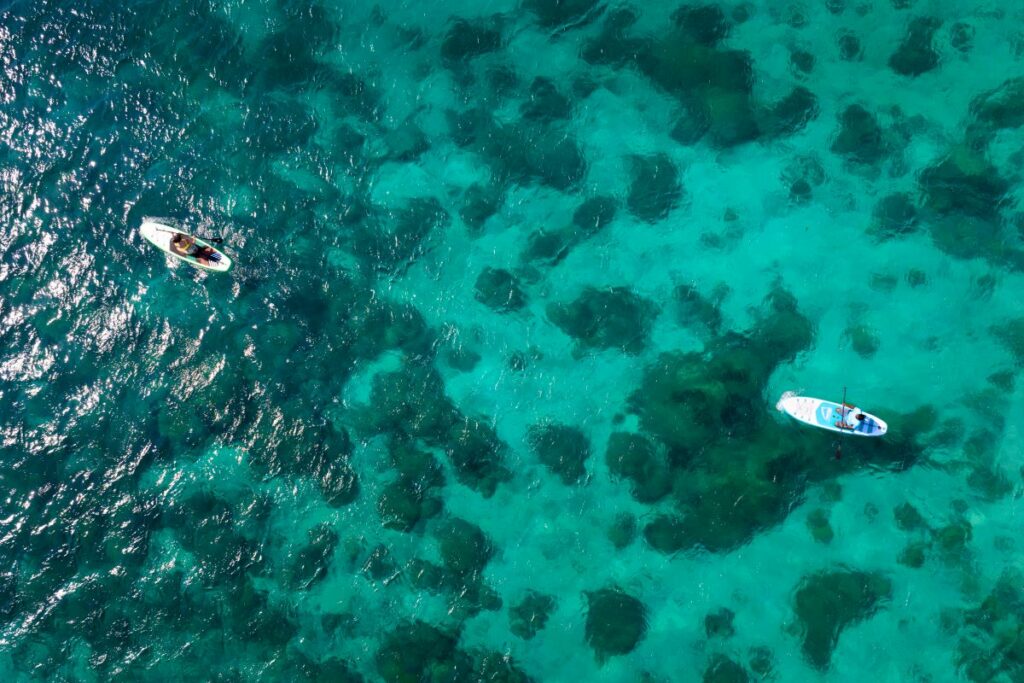 Stand Up Paddle in Zanzibar